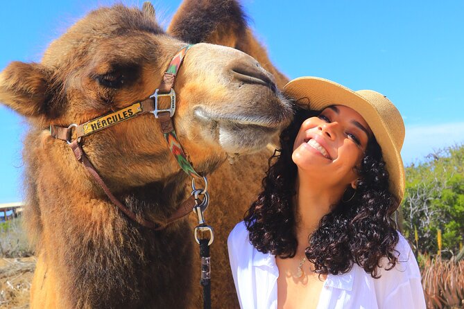Camel Ride and UTV Combo Adventure, with Tequila Tasting - A gentle hour with the camels on Migriño Beach