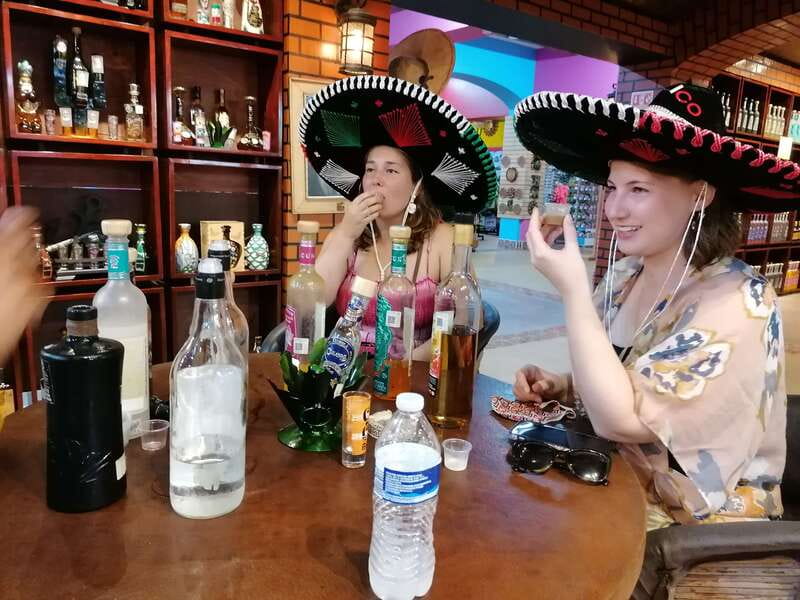 Cancun Taco Tour: Street Food & Tequila Tasting in Downtown - Starting at Parque de las Palapas at 5:30 PM