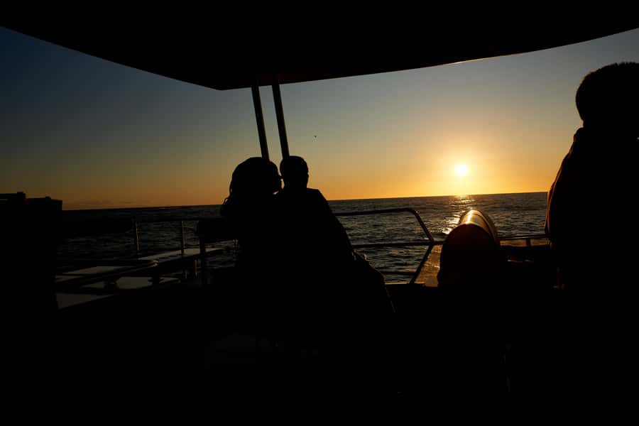 Cape Town: 1.5-Hour Luxury Sunset Cruise with Prosecco - Table Mountain Seen From Offshore