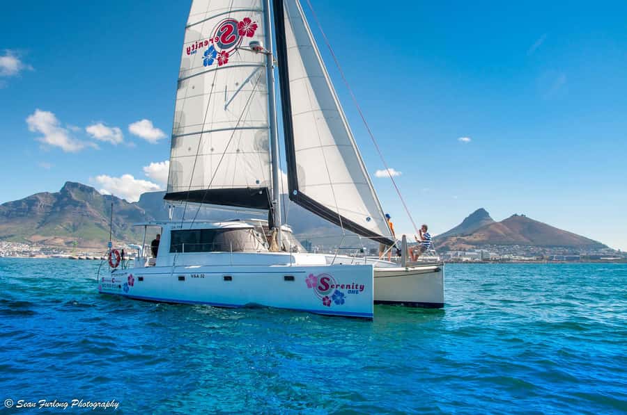 Cape Town: 1-Hour Pre-Sunset Champagne Cruise - Key points to know before boarding