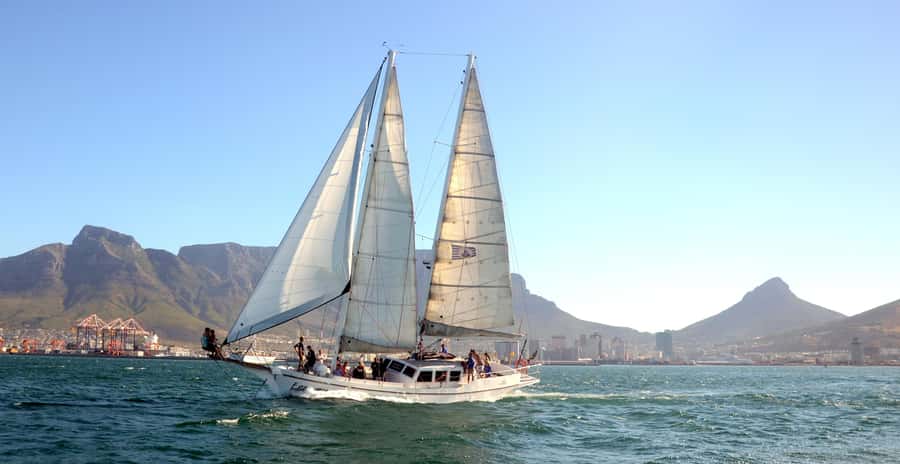 Cape Town: 1-Hour Pre-Sunset Champagne Cruise - Wildlife sightings depend on the day