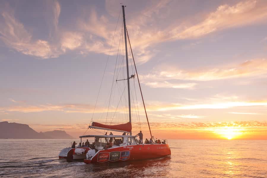 Cape Town: Catamaran Champagne Sunset Cruise - Wind, cold, and changes to the route