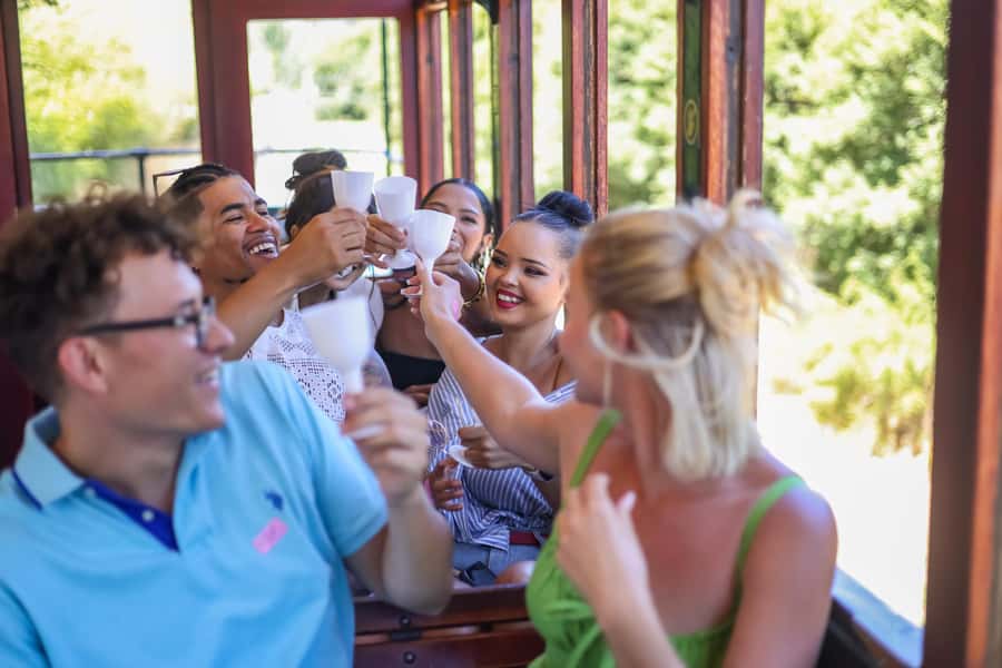 Cape Town: Full-Day Wine Tasting Tour with Wine Tram - How much wine will you actually taste?