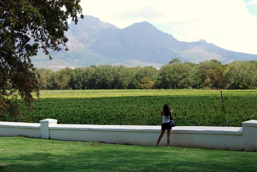 Cape Town: Full-Day Winelands Tour with Wine Tastings & Food - Paarl brings cheese, wine, and wide views