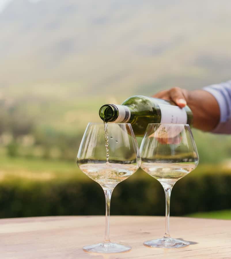 Cape Town: Full-Day Winelands Tour with Wine Tastings & Food - Stellenbosch and the story of Pinotage
