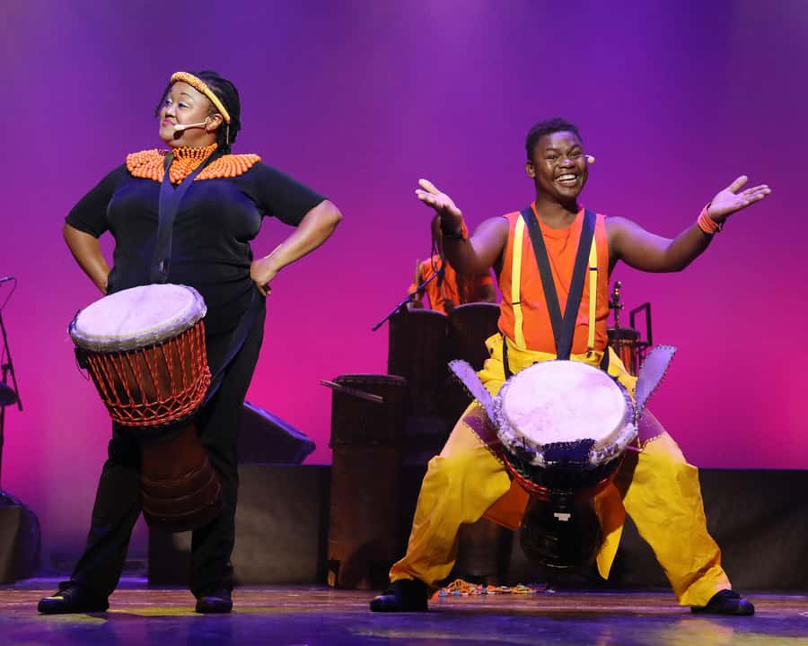 Cape Town: Silvermist Estate Wine Tasting & Drumstruck Show - Key points to know before booking