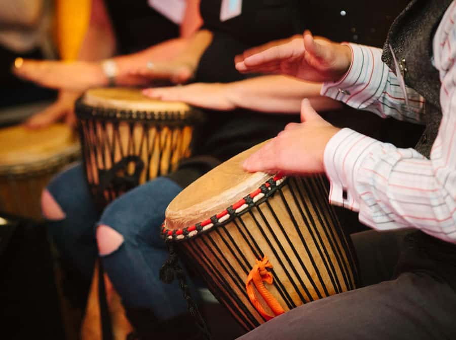 Cape Town: Silvermist Estate Wine Tasting & Drumstruck Show - Four wines with Gregory Louw