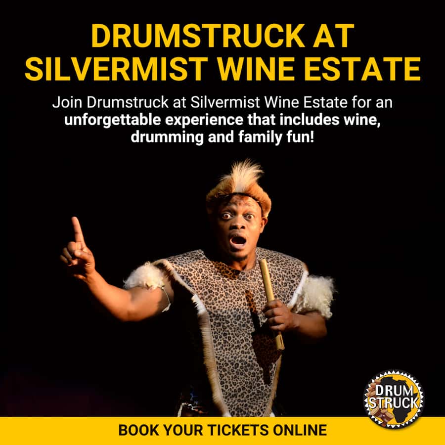 Cape Town: Silvermist Estate Wine Tasting & Drumstruck Show - Is the $28 price good value?
