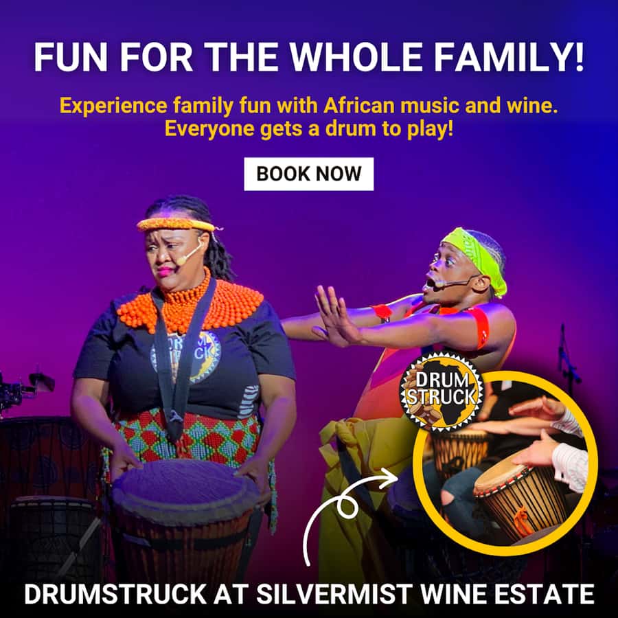 Cape Town: Silvermist Estate Wine Tasting & Drumstruck Show - Who will enjoy it most?
