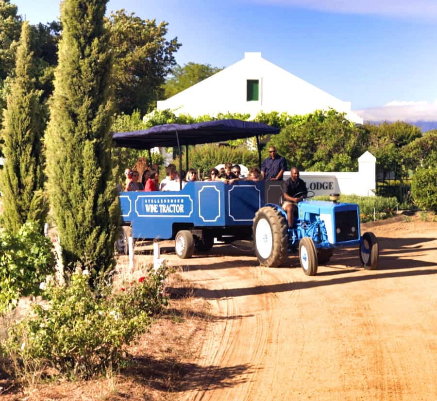 Cape Town: Stellenbosch Hop-On Hop-Off Tractor Transfer - Why the wine tractor works so well