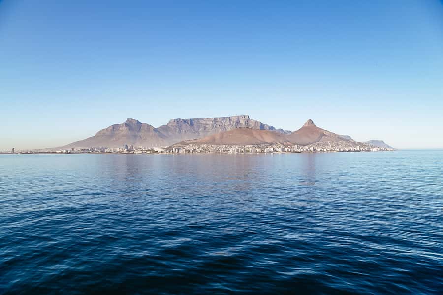 Cape Town: Sunset Champagne Cruise - The return trip can become the liveliest part