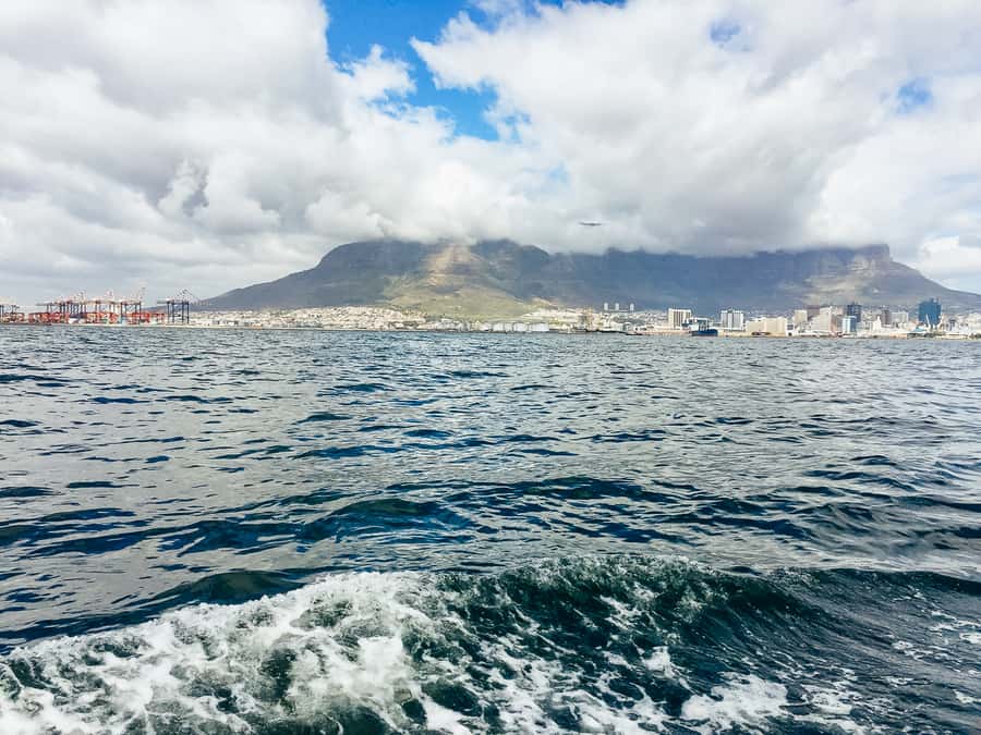 Cape Town: Sunset Champagne Cruise - What the $46 price gives you
