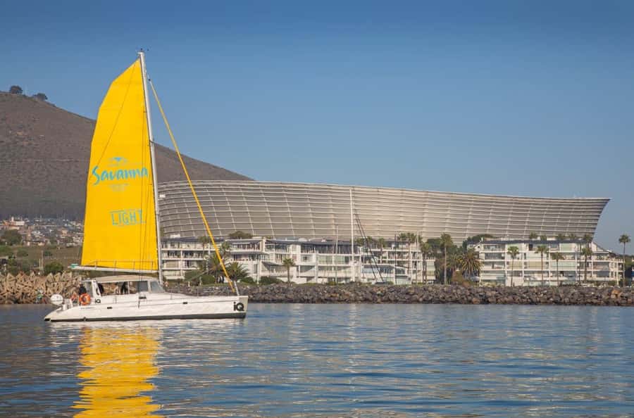 Cape Town: V&A Waterfront Gin Voyage Cruise - Looking for dolphins, penguins, and seals