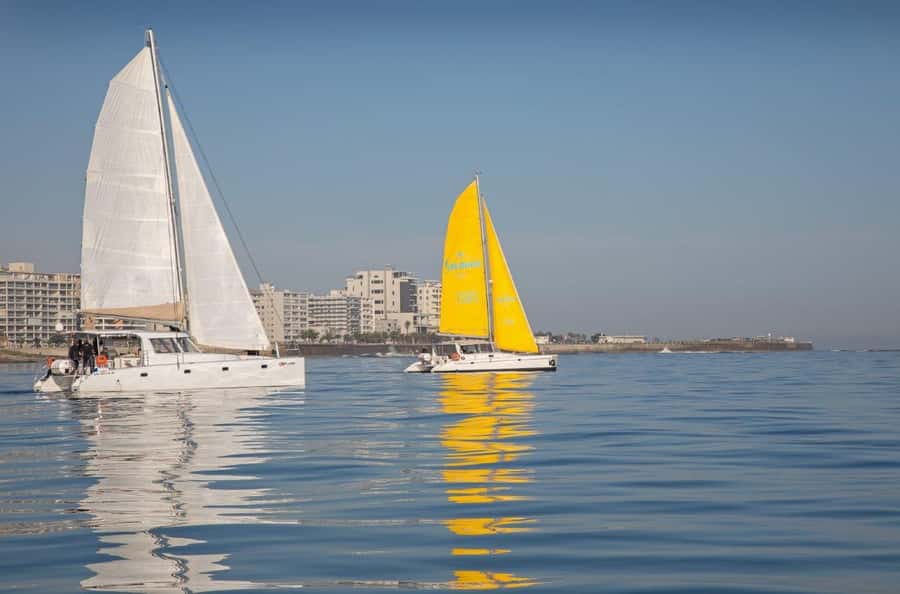 Cape Town: V&A Waterfront Gin Voyage Cruise - Who should book the Gin Voyage