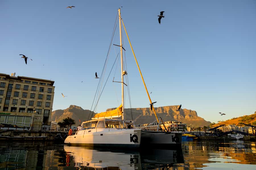 Cape Town: V&A Waterfront Gin Voyage Cruise - One hour on the IQ Catamaran