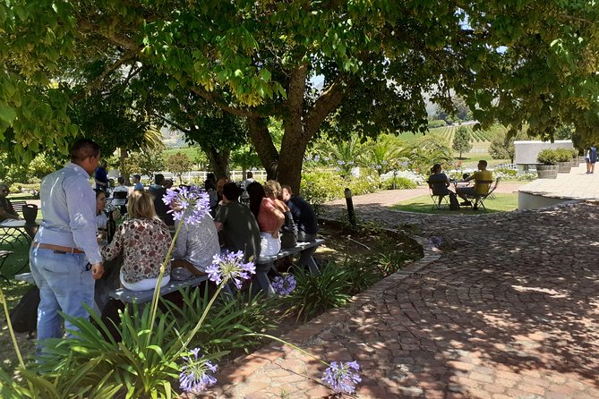 Cape Winelands and Wine Tasting Full Day Tour - A full day among Paarl, Franschhoek, and Stellenbosch