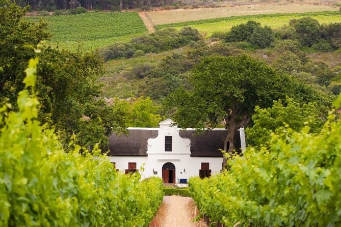 Cape Winelands and Wine Tasting Full Day Tour - Fairview pairs Paarl Valley wine with farm-made cheese
