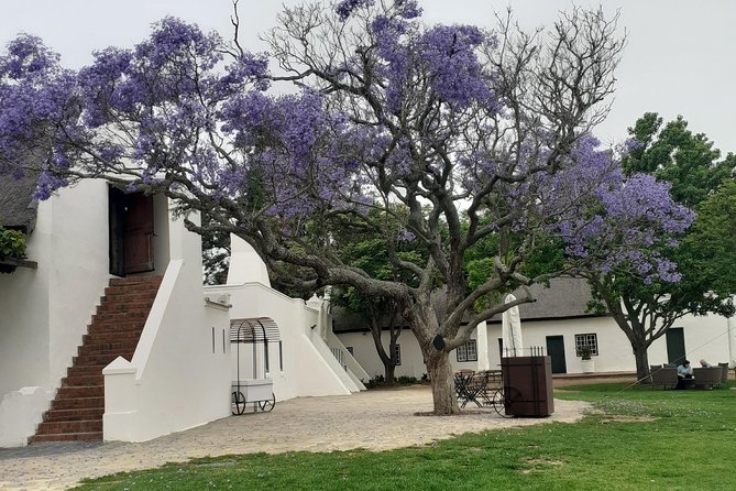 Cape Winelands and Wine Tasting Full Day Tour - Stellenbosch closes the day with oak-lined streets