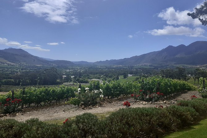 Cape Winelands and Wine Tasting Full Day Tour - The guide can shape the day more than the printed route