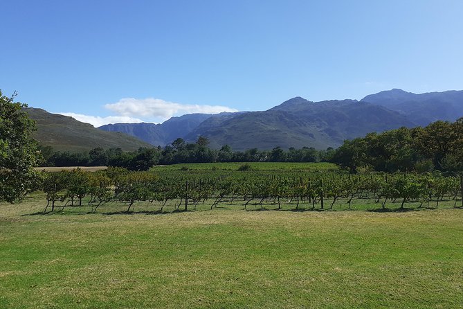 Cape Winelands and Wine Tasting Full Day Tour - Eikenhof offers a smaller family-run setting