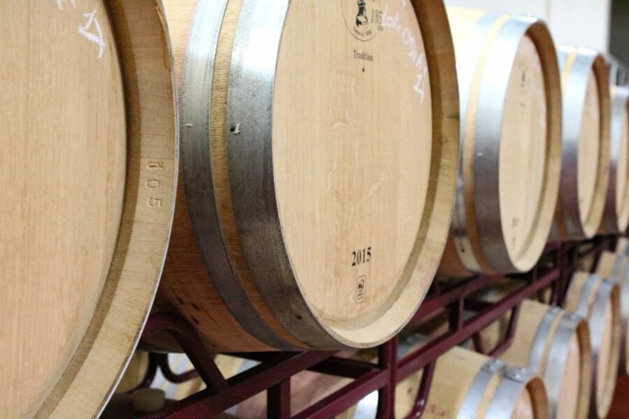 Carvoeiro/Portimão/Alvor: Wine Tour w/ Tasting, Tapas, Music - Timing, comfort, and practical limits