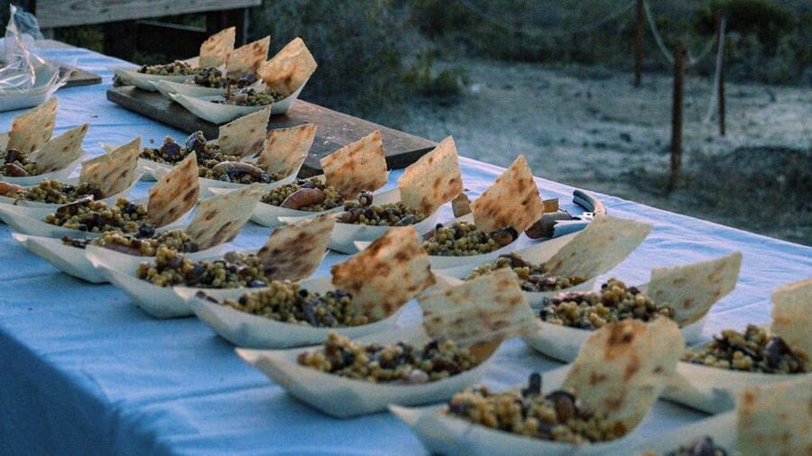 Castelsardo: visit a vineyard with wine tasting at sunset - The Gulf of Asinara at sunset