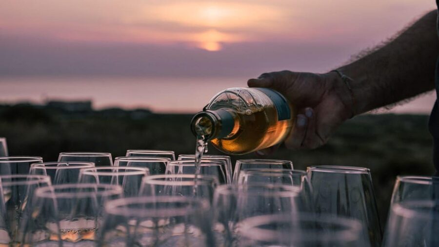 Castelsardo: visit a vineyard with wine tasting at sunset - My verdict: book it for the whole evening