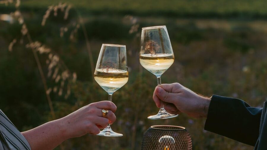 Castelsardo: visit a vineyard with wine tasting at sunset - Walking the vineyard with Giovanni