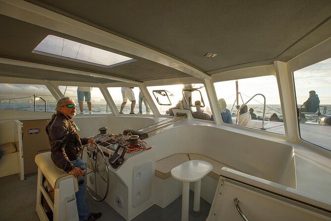 Catamaran Sunset Champagne Cruise Cape Town - Sunset views worth planning around