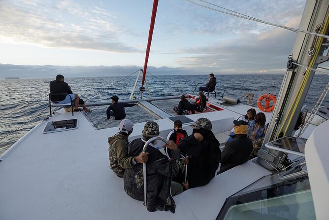 Catamaran Sunset Champagne Cruise Cape Town - Is $37.38 good value?