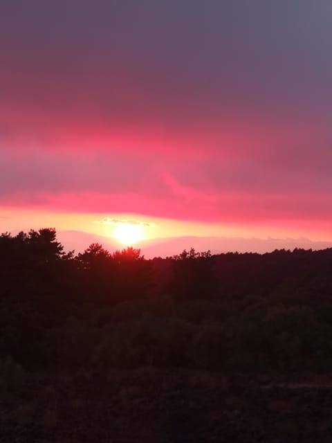Catania: Mount Etna Sunset Trekking with Wine Tasting - Who should book this Etna tour?