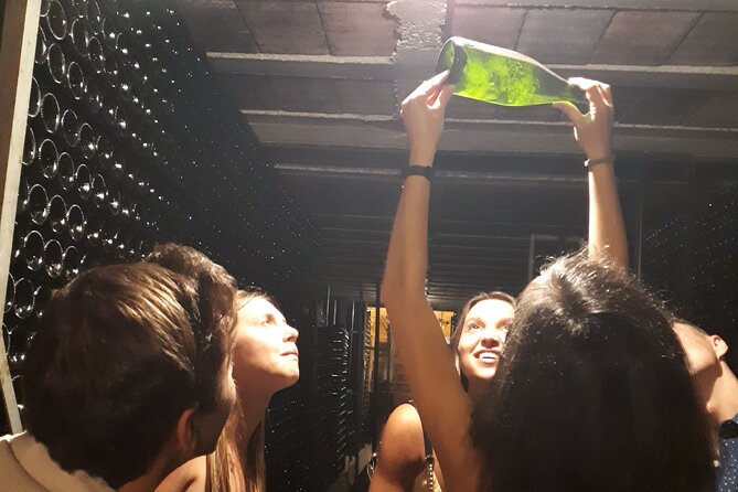 Cava tour to 3 family wineries with hotel pick-up - Why the Penedès makes a good Barcelona day trip