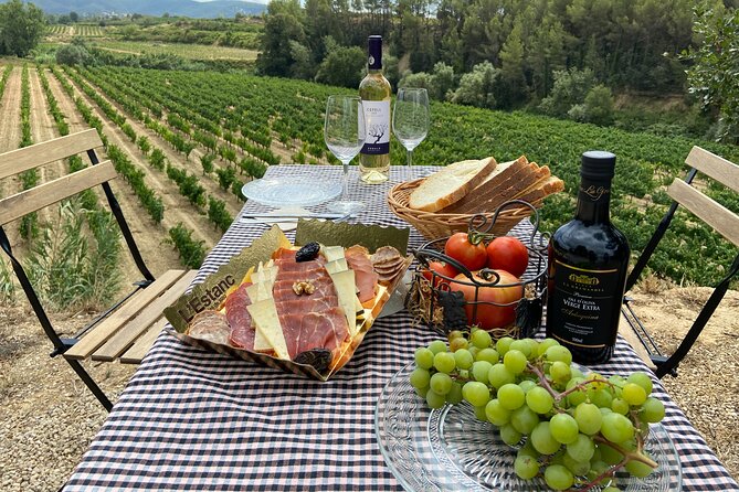 Cava tour to 3 family wineries with hotel pick-up - What the small group changes