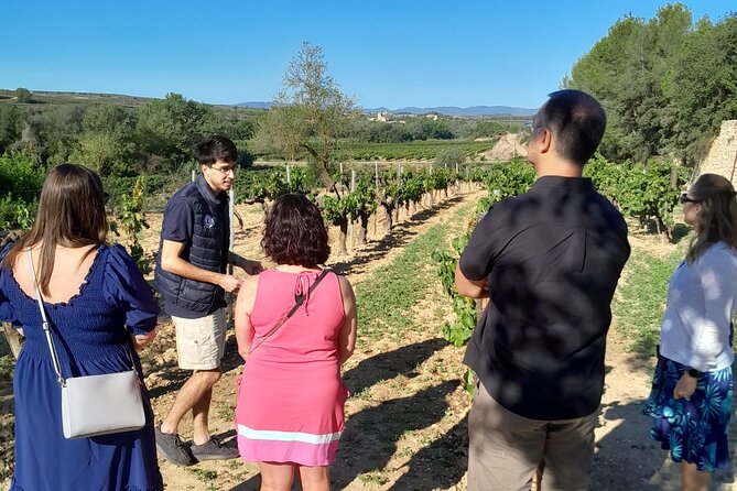 Cava tour to 3 family wineries with hotel pick-up - Who should choose this cava tour?