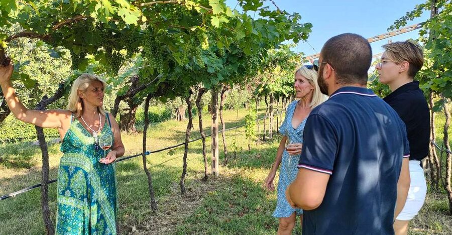 Cavaion: Lake Garda Wine & Food Tasting with Vineyard Tour - Choosing three or five wines