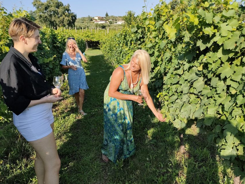 Cavaion: Lake Garda Wine & Food Tasting with Vineyard Tour - Walking among the vines