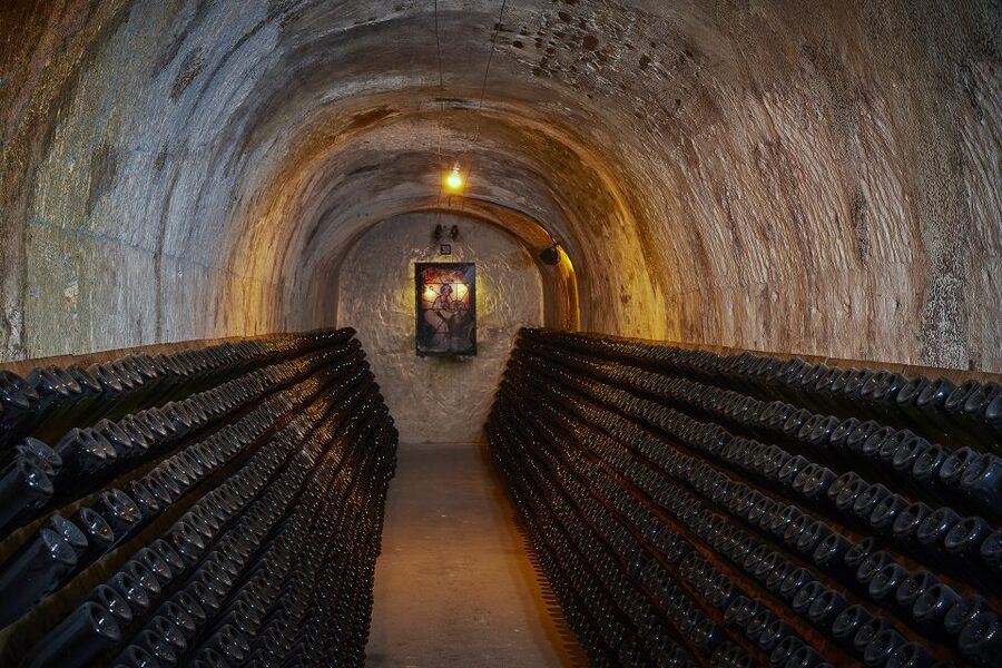 Champagne: Canard-Duchêne Champagne House Tour - What the one-hour Canard-Duchêne visit covers