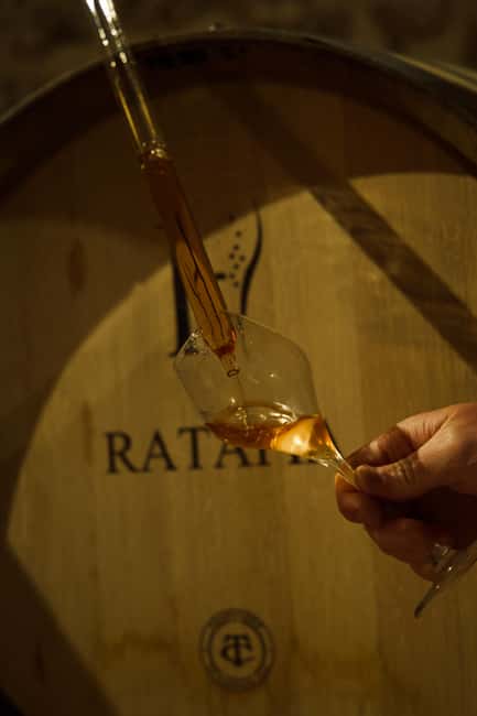 Champagne Cellar Experience: Explore our historic cellars - Inside the Winery and Historic Cellar
