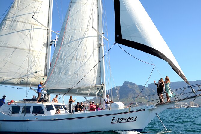 Champagne Cruise (Pre-Sunset) from Cape Town - Golden-hour views of Table Mountain and Cape Town