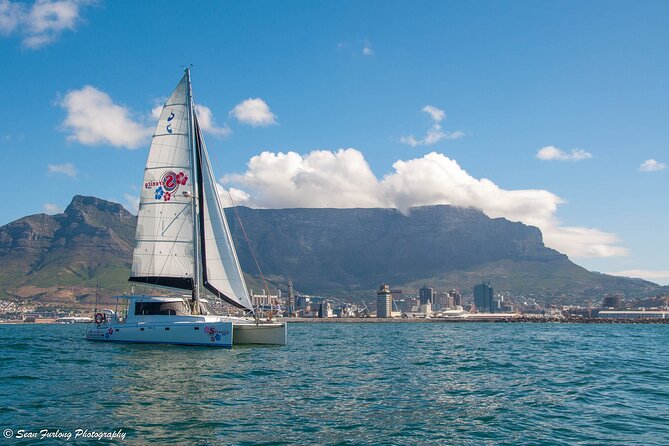 Champagne Cruise (Pre-Sunset) from Cape Town - Leaving Quay 5 for the Atlantic