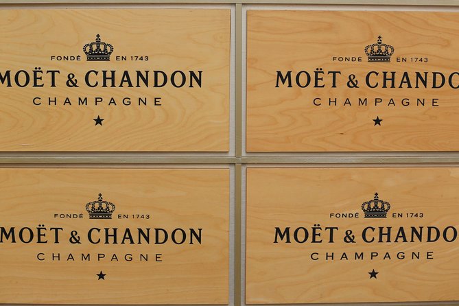 Champagne Day Trip with 6 Tastings, Reims and Winery from Paris - Walking through Champagne-Ardenne vineyards