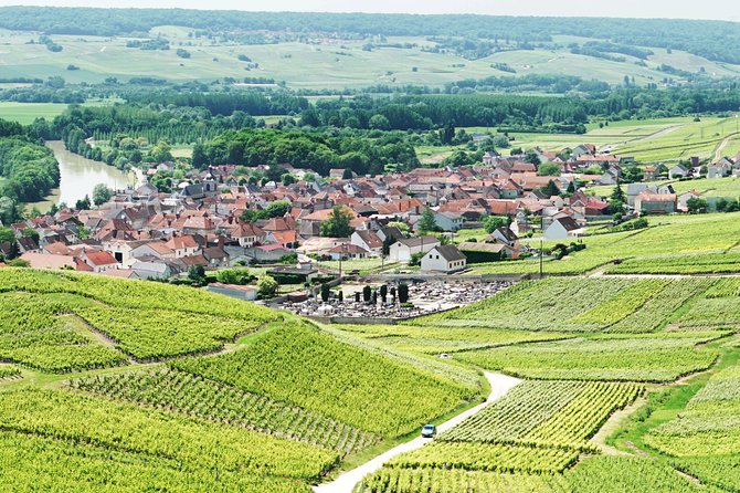Champagne Day Trip with 6 Tastings, Reims and Winery from Paris - Nicolas Feuillatte and the large-scale side of Champagne