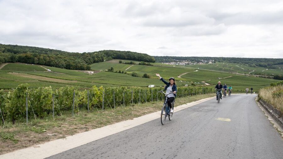 Champagne: E-Bike Champagne Day Tour with Tastings and Lunch - What the $224 price really covers