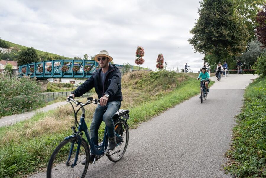 Champagne: E-Bike Champagne Day Tour with Tastings and Lunch - Timing, transport, and weather