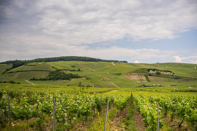 Champagne experience with a vintage van from Epernay - 3 hours - Is $96.75 a fair price?