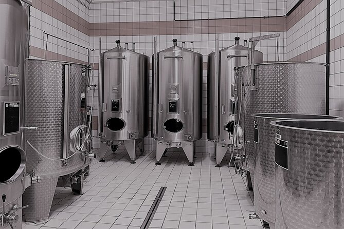 Champagne Munoz Bruneau : Half Day Visit and Tasting - Through the Marne Valley to the family estate