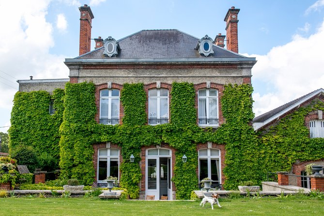 Champagne Tasting Class and Lunch near Epernay - A three-hour introduction to Champagne near Epernay