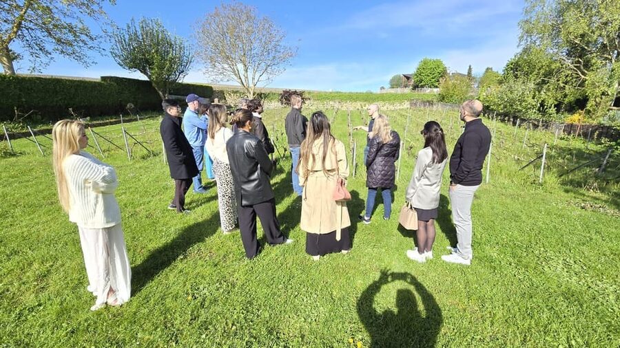 Champagne Vineyard Experience: Delve into the terroir - FAQ
