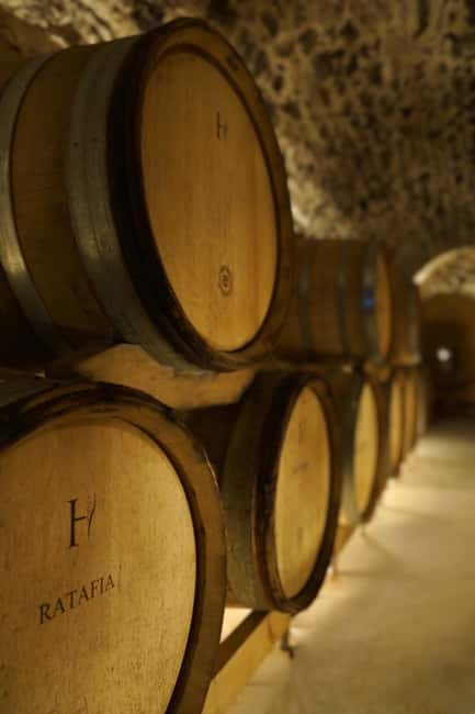 Champagne Vineyard Experience: Delve into the terroir - Why the oldest vines make a strong opening