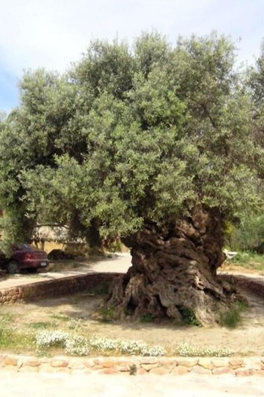 Chania Area: Food Tasting Tour with Winery Visit - Guide Linda and the pace of the day